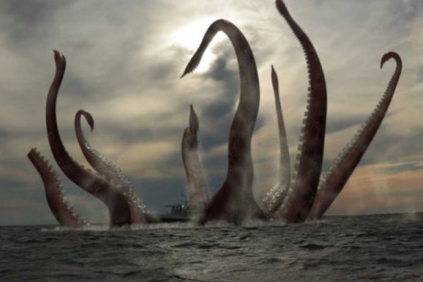 Пользователь не найден kraken